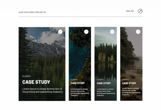 632bfd7d785524caa20526e95b984cfe37e05ce2