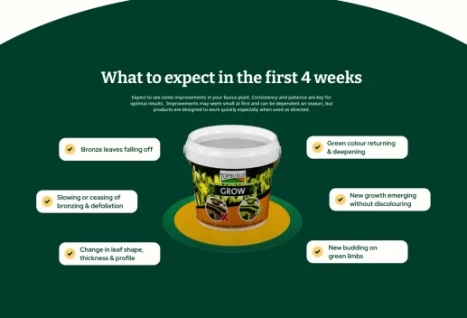 e6f37defe1f6f851c0120fe6b20d74313e7ec746